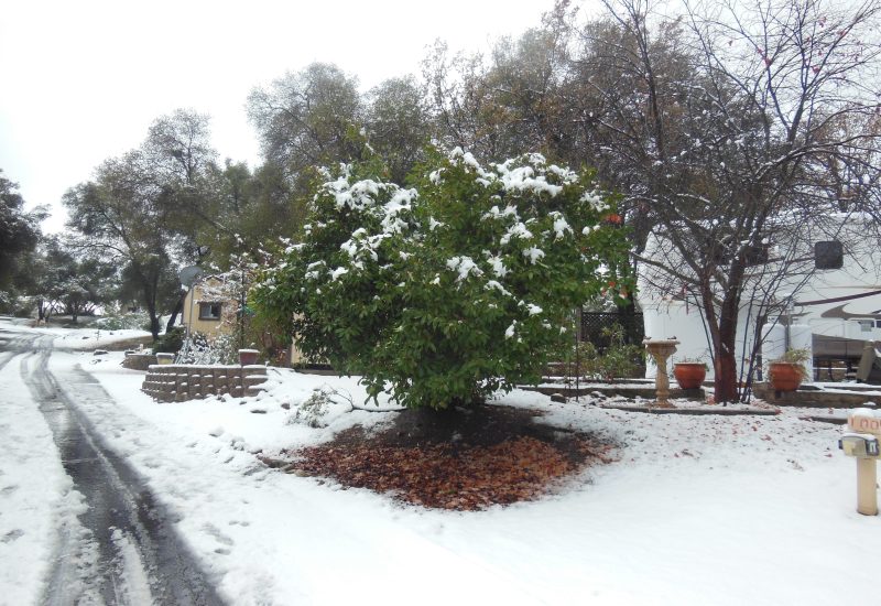 Snow is rare. We are below the snow line.