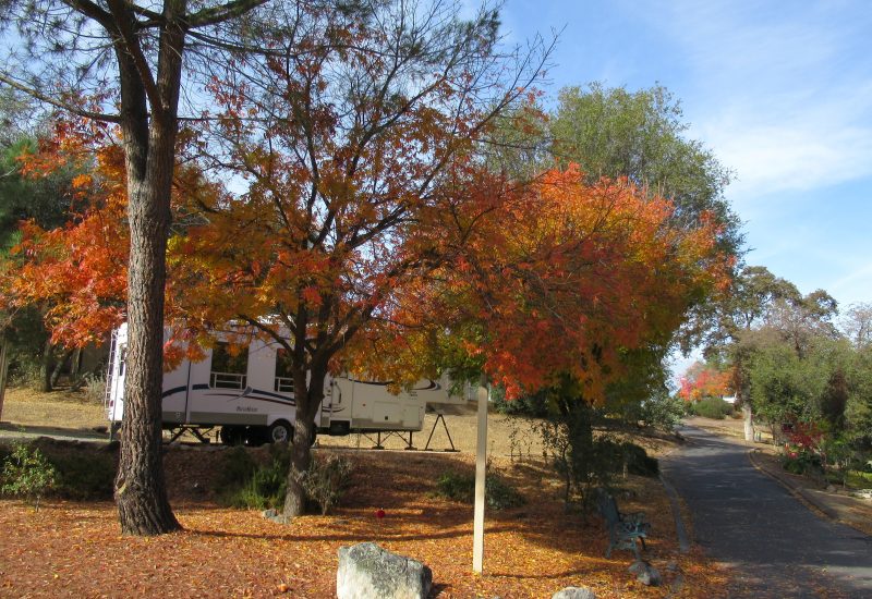 More fall colors