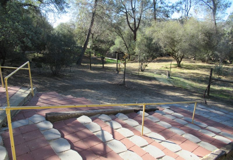 Our four-legged friends love the Bark Park