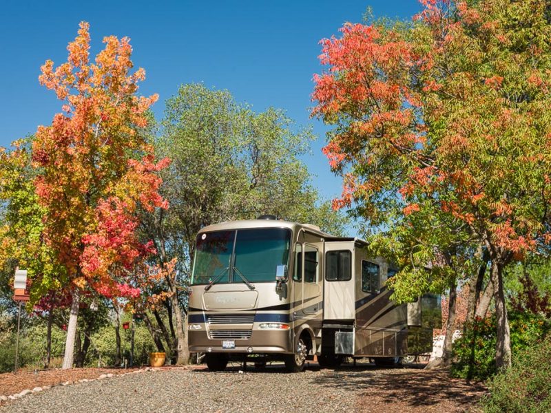 More autumn in Park Sierra!