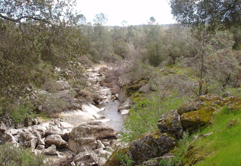 Coarsegold Creek runs through the Park
